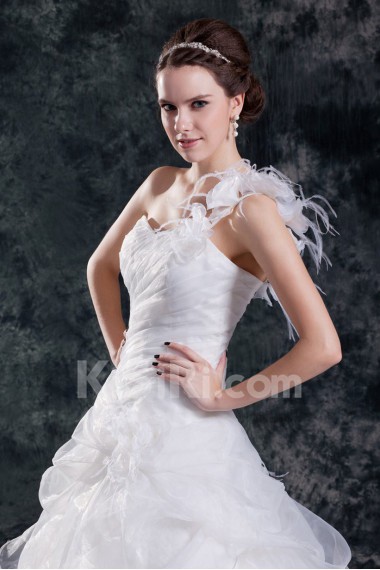 Organza One Shoulder A Line Gown with Feather