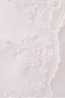 Organza and Lace Sweetheart Ball Gown
