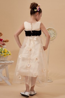 Organza and Satin Jewel Neckline Tea-length A-line Dress with Embroidery 