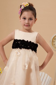 Organza and Satin Jewel Neckline Tea-length A-line Dress with Embroidery 