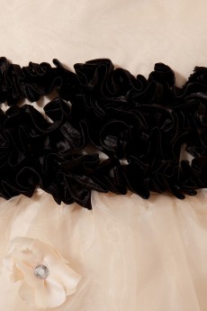Organza and Satin Jewel Neckline Tea-length A-line Dress with Embroidery 