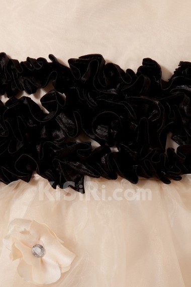 Organza and Satin Jewel Neckline Tea-length A-line Dress with Embroidery 