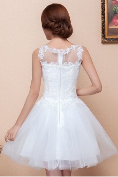 Satin and Net Scoop Dress with Embroidered
