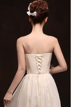 Chiffon Strapless Column Dress with Sash