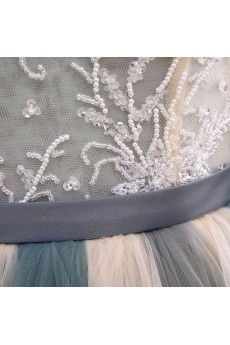 Tulle Square Sweep Train Half Sleeve Ball Gown Dress with Beads
