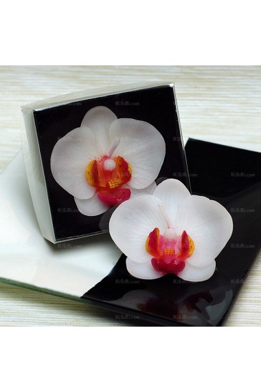 White Phalaenopsis Candle Couples Gift